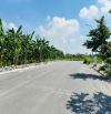 BÁN LÔ ĐẤT 100M2 ĐƯỜNG 41M KHU PHÂN LÔ ĐỐNG CHUỐI– HÙNG VƯƠNG– HỒNG BÀNG Giá chỉ: 5,1 tỷ