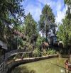 CẦN BÁN HOMESTAY TRUNG TÂM PHỐ - RỘNG GẦN 3 SÀO- CÓ THỔ CƯ - CHO THUÊ 200TR/ NĂM - GIÁ 1TỶ