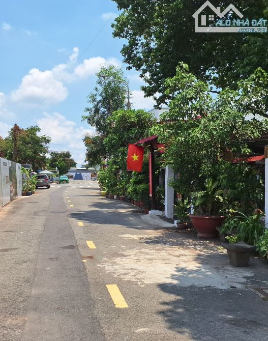 1 lô đất 4.166m2 ở Thuận Giao, Thuận An, Bình Dương giá chỉ có 12 triệu/1m2 - 2