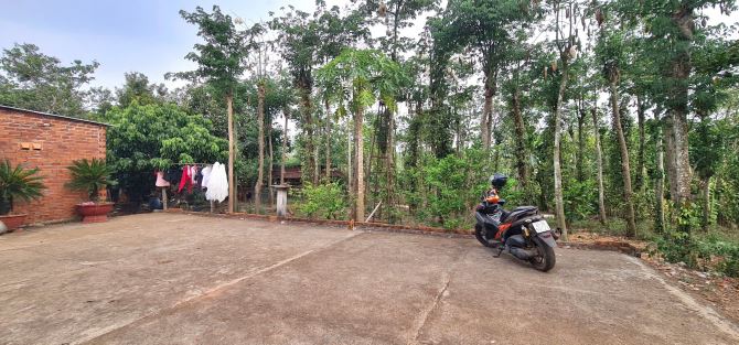 Bán Đất + Nhà Vườn Giá Ngộp 7.252m2 có 200m2 thổ cư, đường ô tô tại Sông Ray, Cẩm Mỹ, ĐN