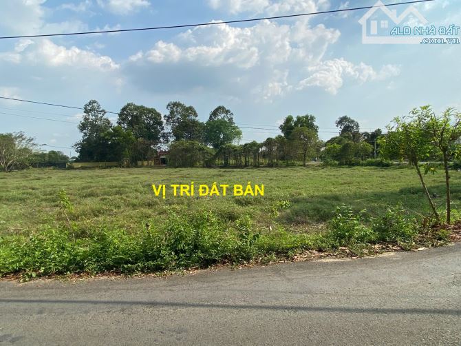 Bán Đất Vườn Mặt Tiền Đường Số 24, Tân Thông Hội, Củ Chi - Gần Quốc Lộ 22 - 5981m²-14.9 tỷ