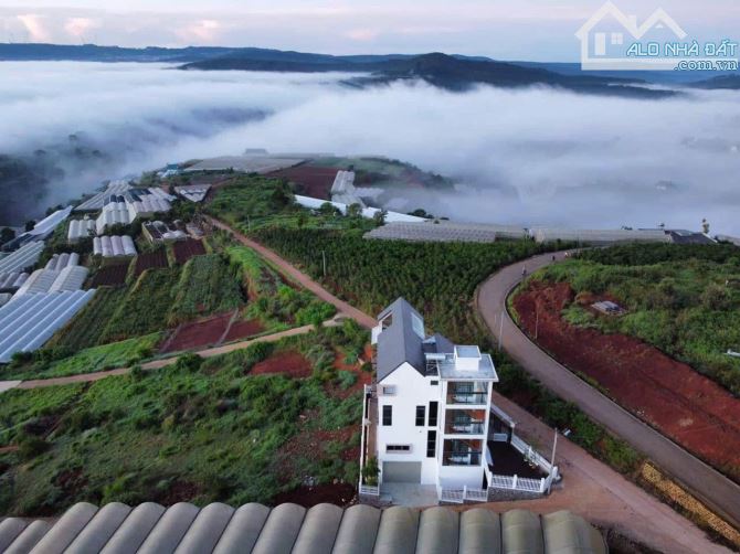 Cần bán 1.548m đất Xuân thọ tp Đà Lạt - 3