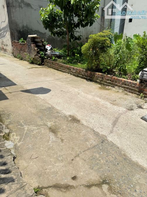 💥BÁN ĐẤT MAI LÂM – ĐÔNG ANH💥 📍50m² – MT 4m, hậu 4m 🚗 Ô tô 7 chỗ tránh xe máy – Ngõ thô - 1