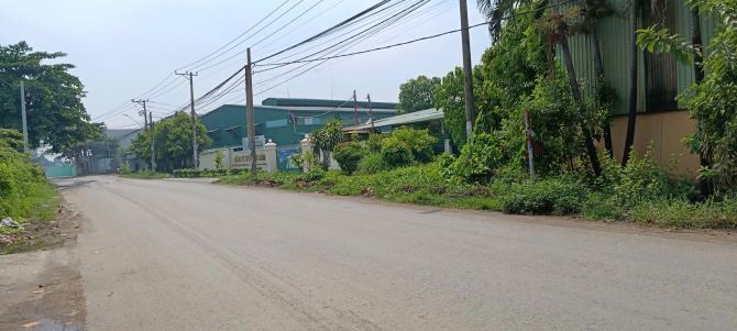 Bán lô đất mặt tiền Huỳnh Mẫn Đạt gần nhà máy nước Hóa An, Biện Hòa - 1
