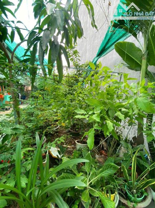 ĐẤT NỀN KHU DÂN CƯ, 54M2, ĐƯỜNG TẠ QUANG BỬU Q8. - 1