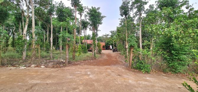 Bán Đất + Nhà Vườn Giá Ngộp 7.252m2 có 200m2 thổ cư, đường ô tô tại Sông Ray, Cẩm Mỹ, ĐN - 1