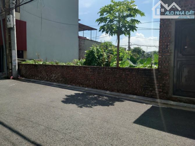 85m full thổ cư thửa đẹp, Không Lỗi, Ô tô chạy vòng quanh Thôn Bầu, Kim Chung, Đông Anh. - 1