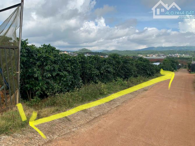 Cần bán 1.548m đất Xuân thọ tp Đà Lạt - 4
