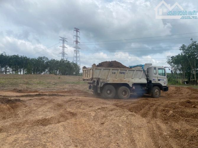 Cho thuê 4,5ha đất An Long TP.HCM tiện SXKD gỗ, nông công nghiệp, giá rẻ, pháp lý đầy đủ - 2