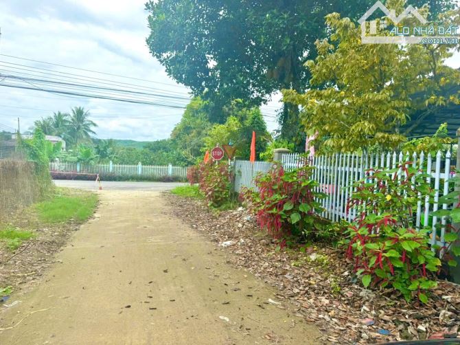 Bán đất 460m2 đường Lê Duẩn, Khánh Vĩnh - 3