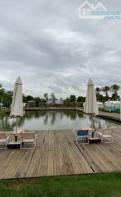 BÁN ĐẤT VIEW SÔNG SG | 4300M2 ( 80*55m ) | 43TỶ | SỔ HỒNG ĐẤT ĐẸP. - 3
