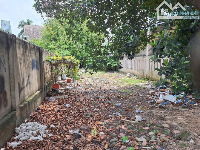 Đất mặt tiền đường Nguyễn Thị Minh Khai phường Thuận Giao TP Thuận An. 11,7 tỷ - 4