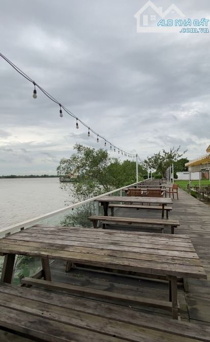 BÁN ĐẤT VIEW SÔNG SG | 4300M2 ( 80*55m ) | 43TỶ | SỔ HỒNG ĐẤT ĐẸP. - 4
