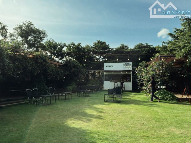 Cần chuyển nhượng lại HomeStay cực đẹp đang kinh doanh tại Pleiku - Gia Lai - 4