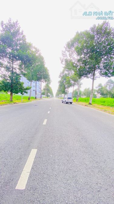 Cho thuê đất ngang 10m  khu Ngân Thuận 8 triệu - 4