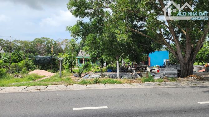 Bán 7m đất ODT Đường Nguyễn Chí Thanh - LaGi giá rẻ nhất 378 triệu/m ngang - 4
