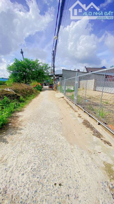 Cho thuê đất 3.600 m2 đường 3/2 có view sông 25 triệu - 5