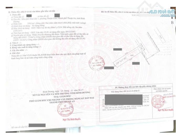 Đất mặt tiền đường Nguyễn Thị Minh Khai phường Thuận Giao TP Thuận An. 11,7 tỷ - 5