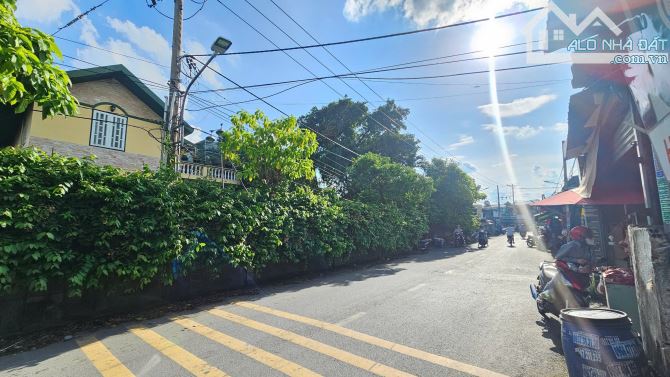 12,5Tỷ TL🔥Bán đất 318,2m2 tặng nhà cấp 4_MT Kinh Doanh đường An Nhơn_p.Tân Bình_Tp.Dĩ An - 5