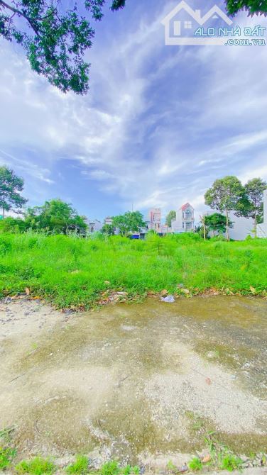 Cho thuê đất ngang 10m  khu Ngân Thuận 8 triệu - 5