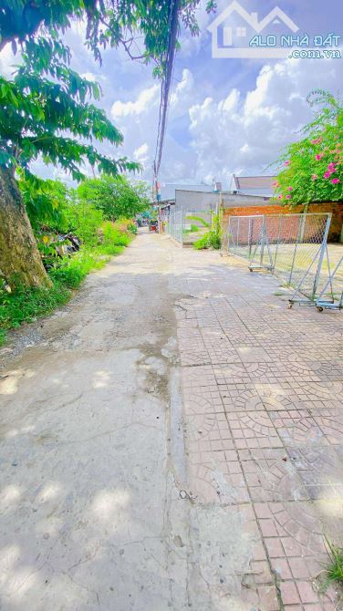 Cho thuê đất 3.600 m2 đường 3/2 có view sông 25 triệu - 7