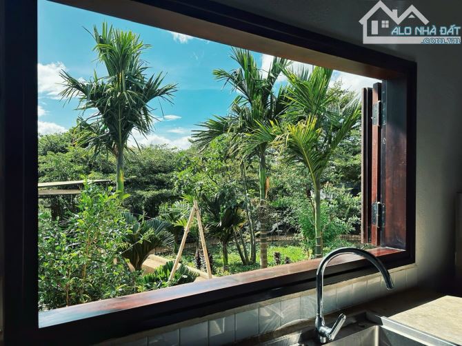 Cần chuyển nhượng lại HomeStay cực đẹp đang kinh doanh tại Pleiku - Gia Lai - 8