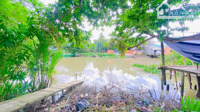 Cho thuê đất 3.600 m2 đường 3/2 có view sông 25 triệu - 9