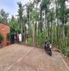 Bán Đất + Nhà Vườn Giá Ngộp 7.252m2 có 200m2 thổ cư, đường ô tô tại Sông Ray, Cẩm Mỹ, ĐN