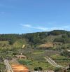 🌲3.800m²- Hiệp An - Đức Trọng chân đèo Pren 🌲30 Tỷ- có 400m thổ cư