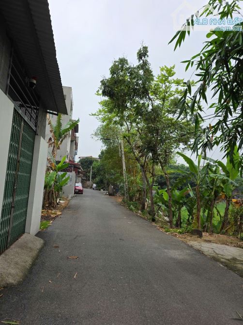 Bán lô đất phường Vũ Ninh, TP Bắc Ninh đường 2 ô tô tránh nhau view hồ đồng trầm rộng 4ha