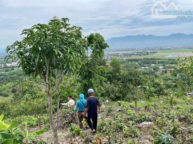 Bán Nhanh 3ha5 Đất View Cực Đẹp - Có Nước Ngầm Quanh Năm - 10