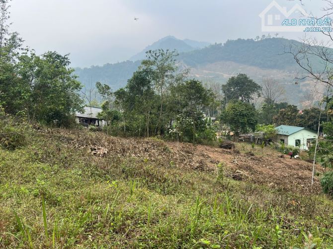 Chính chủ gửi bán 2616m có 200m thổ cư 300m đất vườn 2116m RSX tại Hợp Tiến, Kim Bôi, HB - 1
