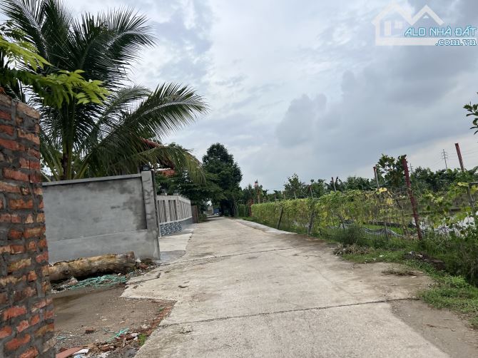 86m full .sẵn sổ đẹp Tân An -Hiền Ninh -Sóc Sơn .cơ hội tốt để đầu tư - 1