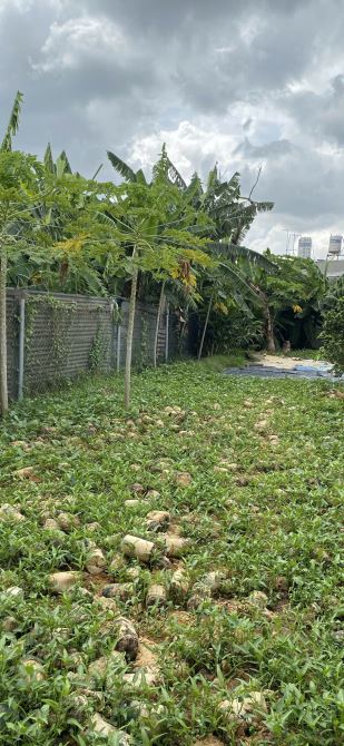ĐẤT NÔNG NGHIỆP, đường TRẦN THỊ DO, Phường Hiệp Thành, Q.12, dt 144m2 (5,2mx28m),💰2,8Tỷ - 1