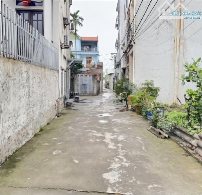‼️ ĐẤT ĐÔNG HỘI- 100M²-  CÁCH CẦU ĐÔNG TRÙ CHỈ 500M  💥 NỞ HẬU – NGÕ NÔNG - 1