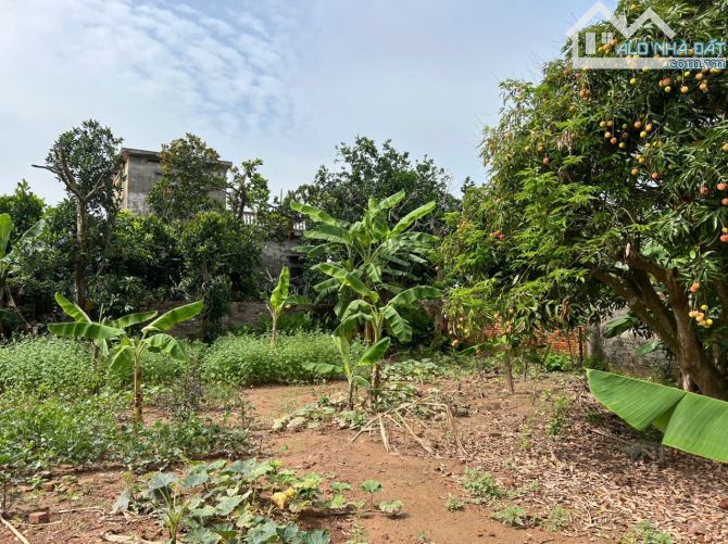 Bán đất 1016m² mặt tiền 25m – gần đường 391, xã Quang Phục,Tứ Kỳ – Chỉ 4,45 tỷ - 2