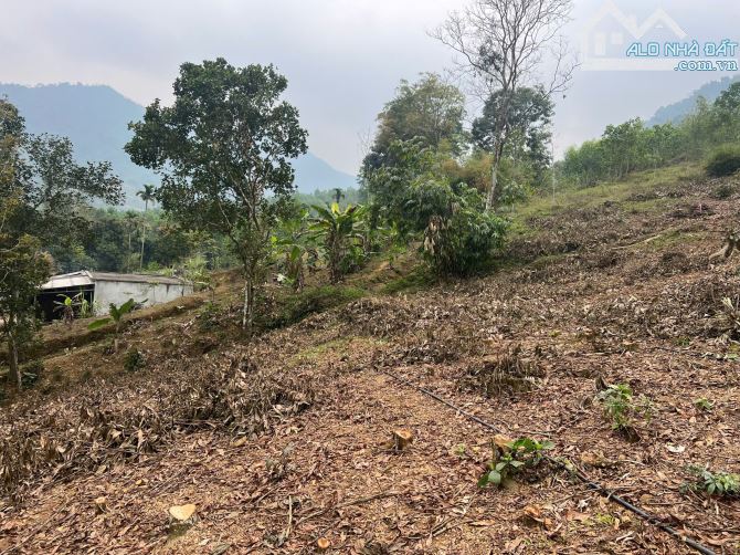 Chính chủ gửi bán 2616m có 200m thổ cư 300m đất vườn 2116m RSX tại Hợp Tiến, Kim Bôi, HB - 2