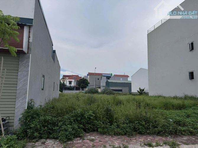Bán Đất Đấu Giá Vân Tảo, Thường Tín 85m² - Mặt Tiền 5m, Đường 5m Vỉa Hè, Sát Tỉnh Lộ 427 - 2
