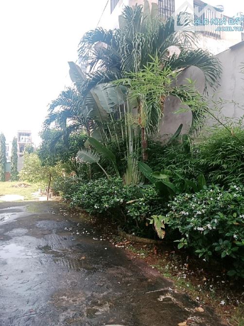 Cơ Hội Đầu Tư  Đất Phân Lô  Quận 12, Tân Thới Hiệp 9 - 962m2 Ngang 27m x37m Chỉ 31 Tỷ - 2