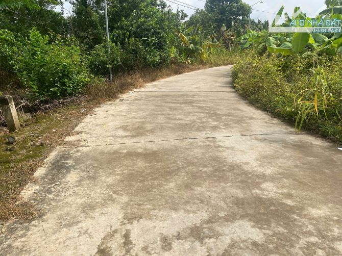 bán 1003m2 đất có 20m mặt tiền đường bê tong chỉ 60t/m,đất nằm khu dân cư - 4