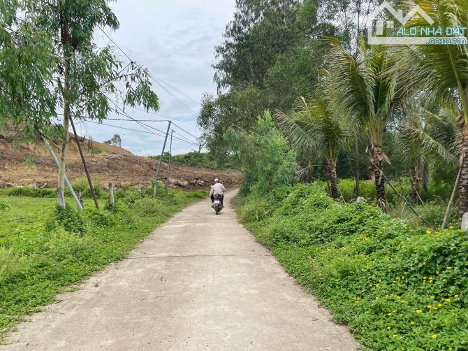 Bán Nhanh 3ha5 Đất View Cực Đẹp - Có Nước Ngầm Quanh Năm - 6