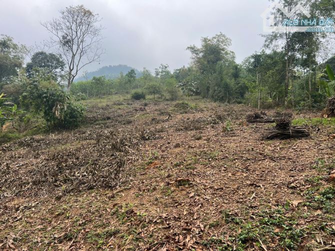 Chính chủ gửi bán 2616m có 200m thổ cư 300m đất vườn 2116m RSX tại Hợp Tiến, Kim Bôi, HB - 7