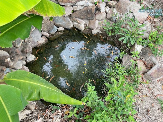 Bán Nhanh 3ha5 Đất View Cực Đẹp - Có Nước Ngầm Quanh Năm - 8