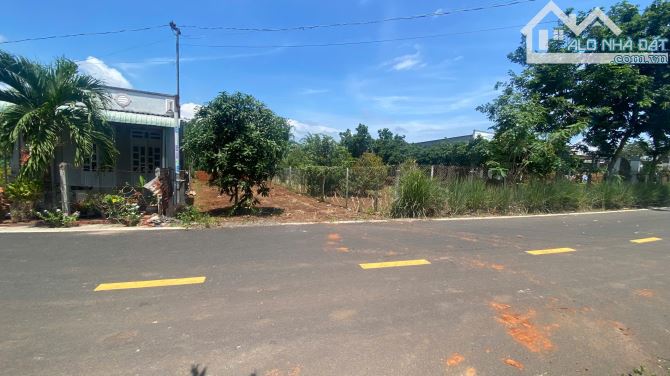 Bán đất Đất Đỏ đường nhựa Cao Văn Ngọc 198m ngang 6x33 Sẵn Thổ cư - 1