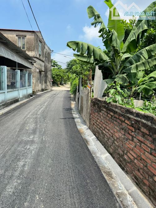 💥BÁN ĐẤT MAI LÂM – ĐÔNG ANH💥 📍52m² – MT 4m, hậu 4m - 3