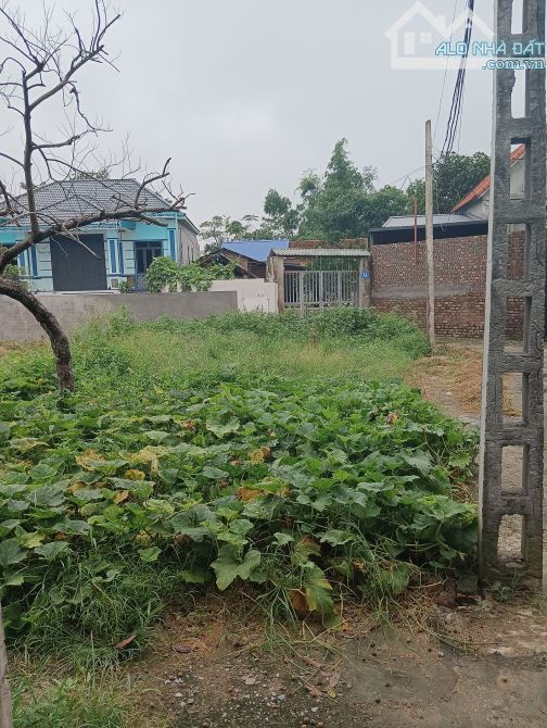 Bán Đất-Xã Minh Trí(Sóc Sơn)-60M2 Full Thổ Cư-1,5Tỷ- Lô Góc-Ba Mặt Thoáng