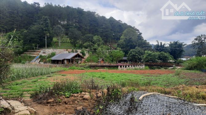 Bán đất nông nghiệp, thích hợp làm Homestay, gần quán Kẻng,giá cực hấp dẫn