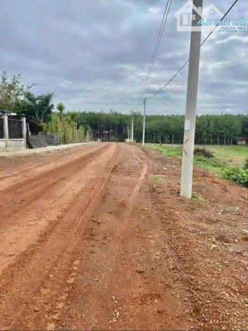 1000m² đất mặt đường 12m cặp sát tuyến 3 vào Công nghiệp 4200ha Đồng Phú chỉ 250 triệu