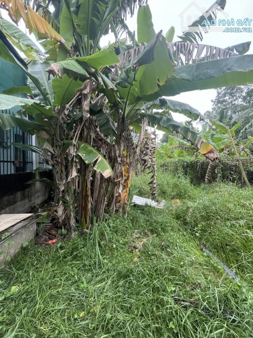 CẦN BÁN GẤP LÔ ĐẤT 153M2 –HẺM XE HƠI –GẦN MẶT TIỀN HÀ HUY PHIÊN, BÌNH MỸ, CỦ CHI–CHỈ 2.5TỶ