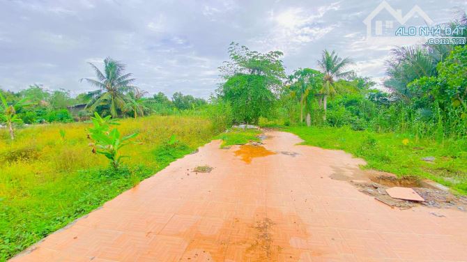 Bán đất 3.100 m2 hẻm Nguyễn Văn Linh có view sông